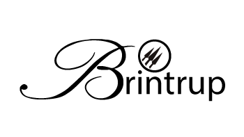 logo-gin-brintrup